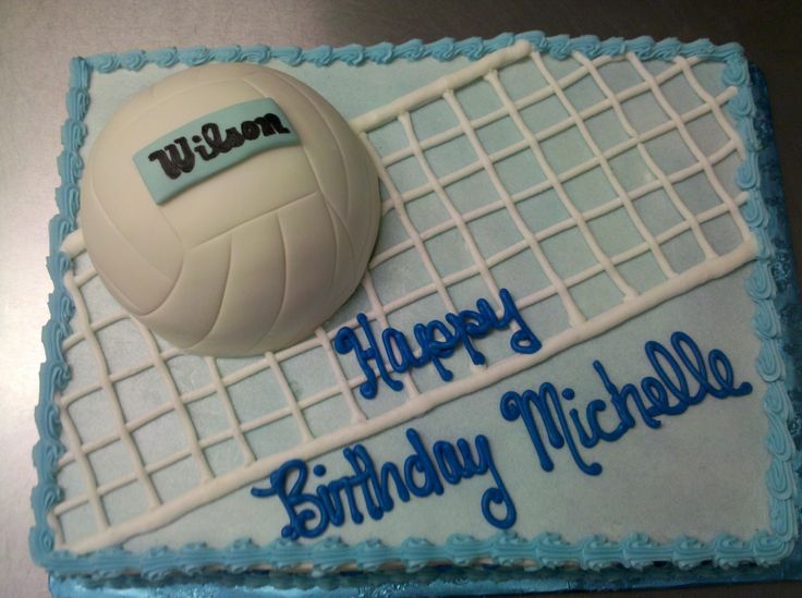 Julie Daly Cakes: Volleyball Cake